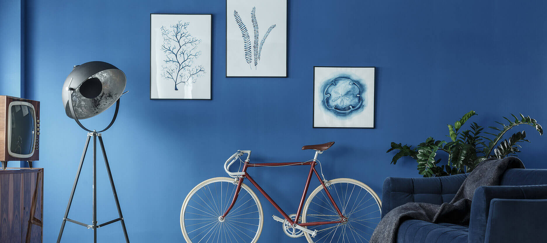 5 Shades of Blue colours to Enhance Your Home Décor 