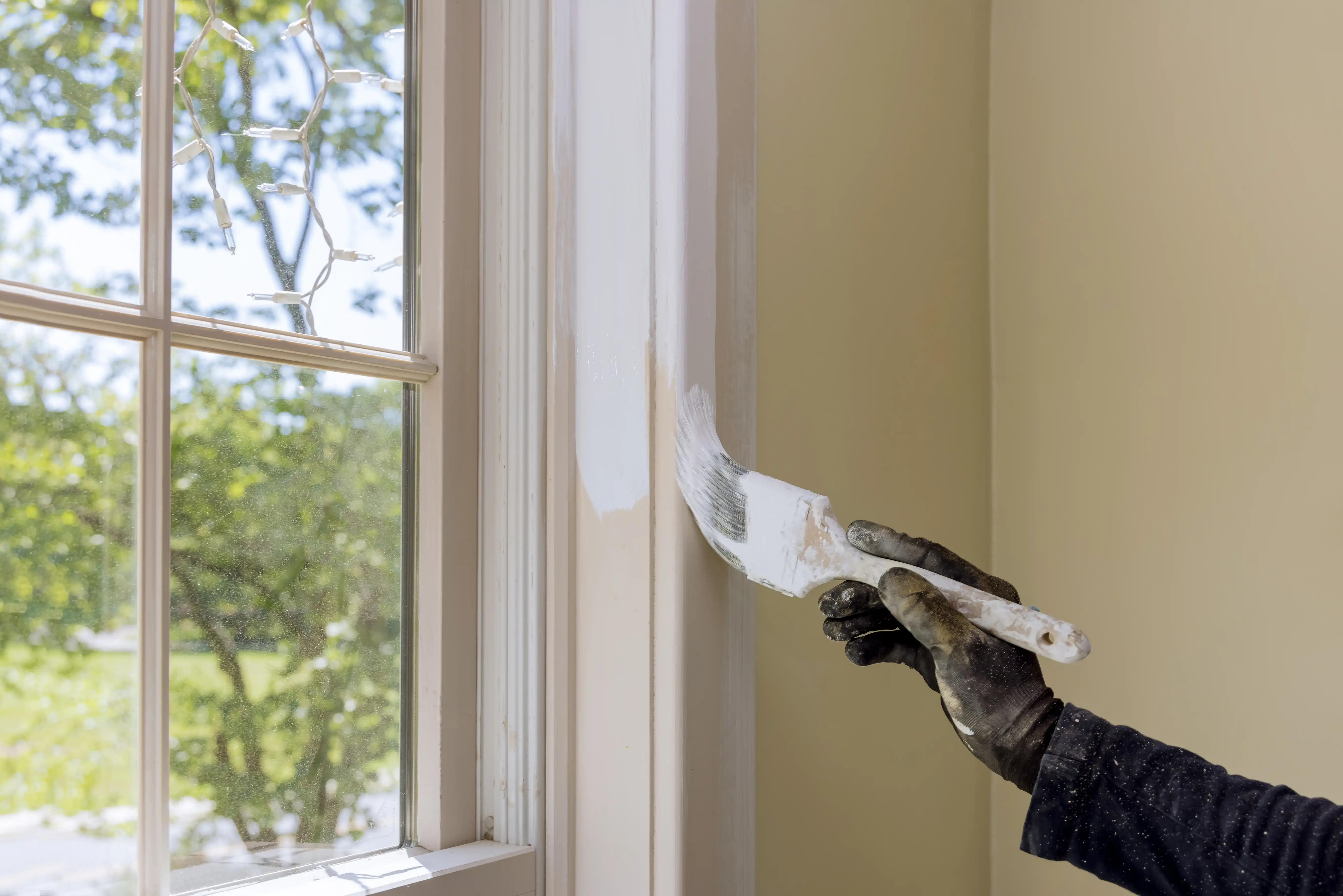 Window Design Ideas