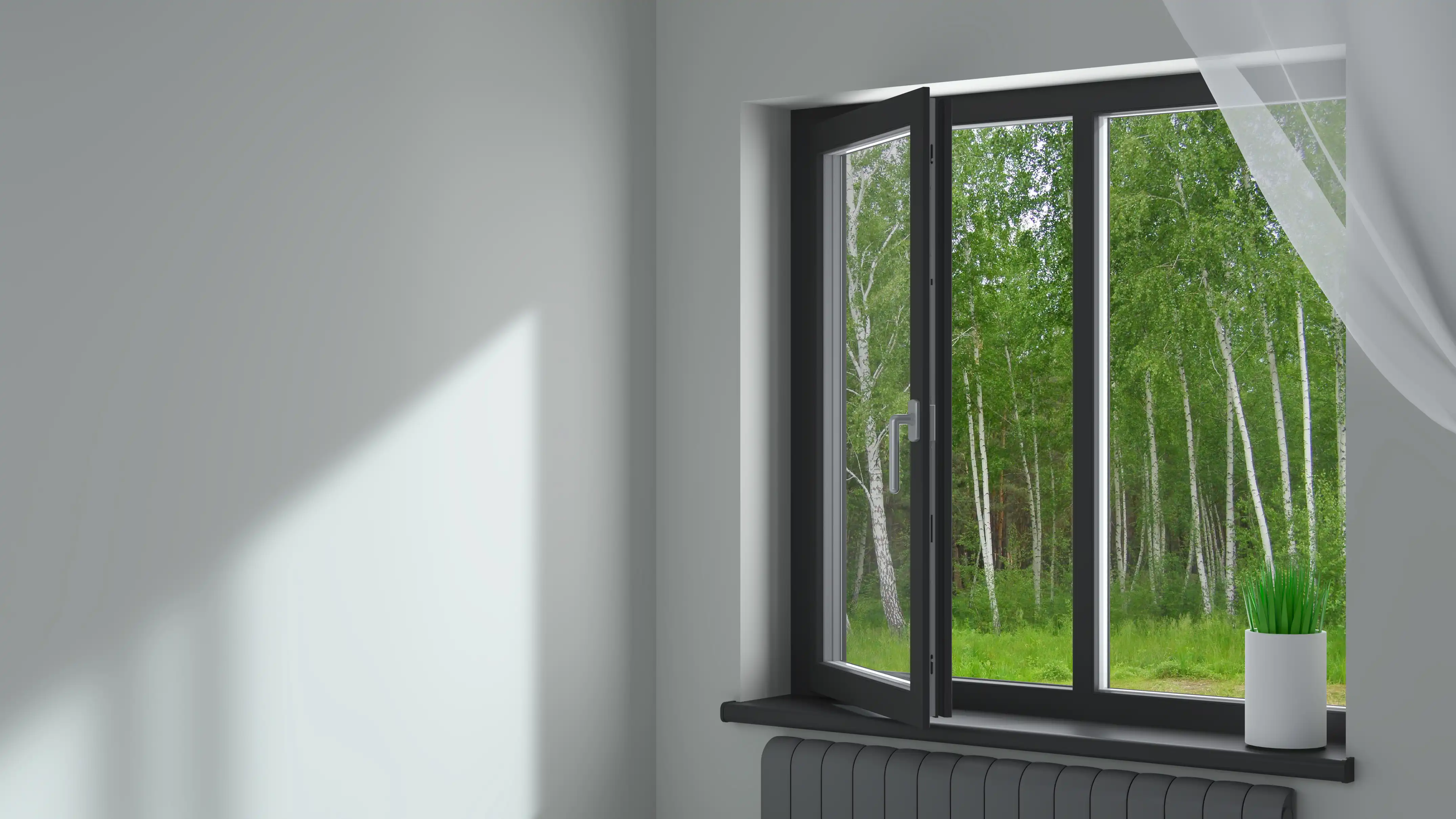 Window Design Ideas