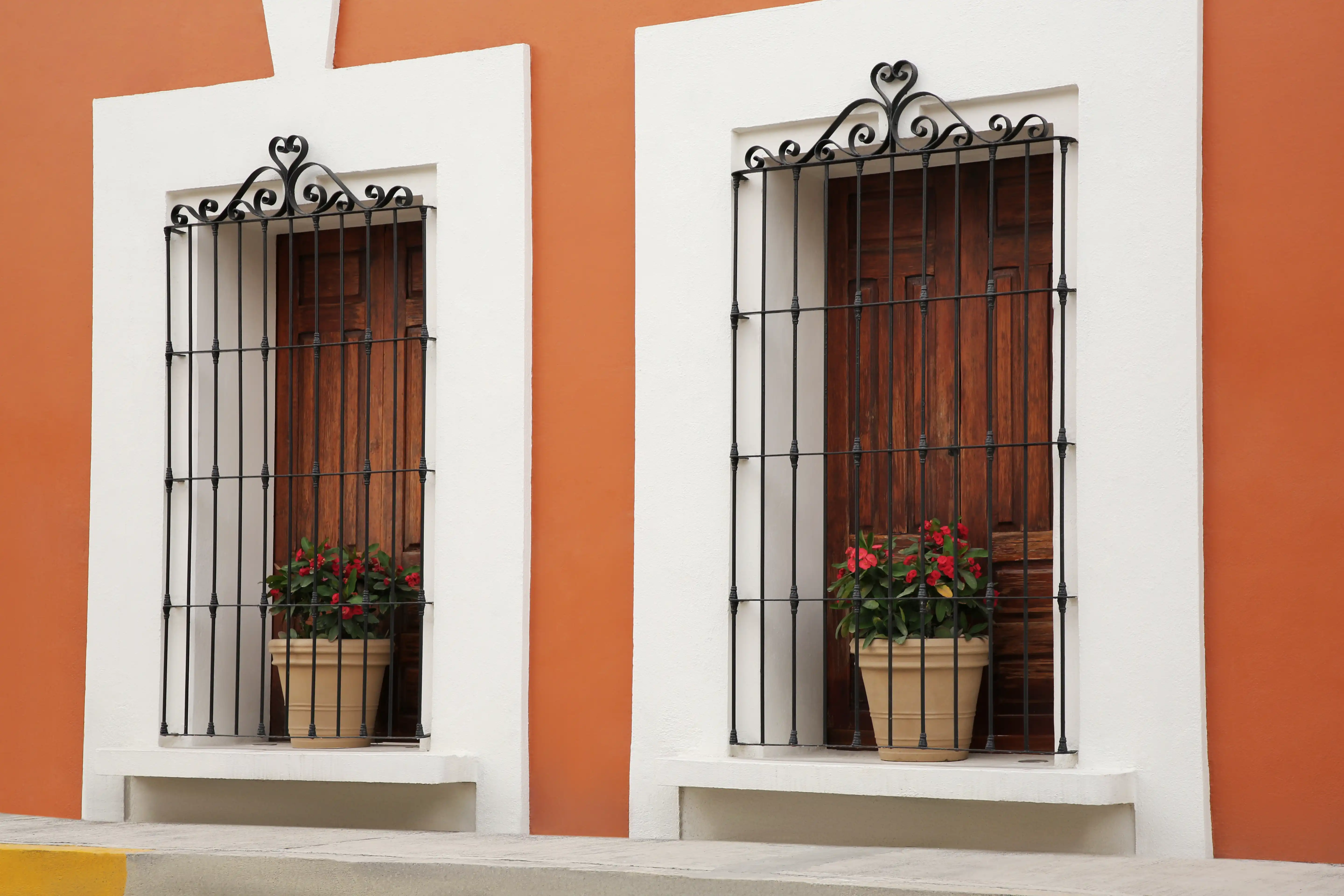 Window Design Ideas