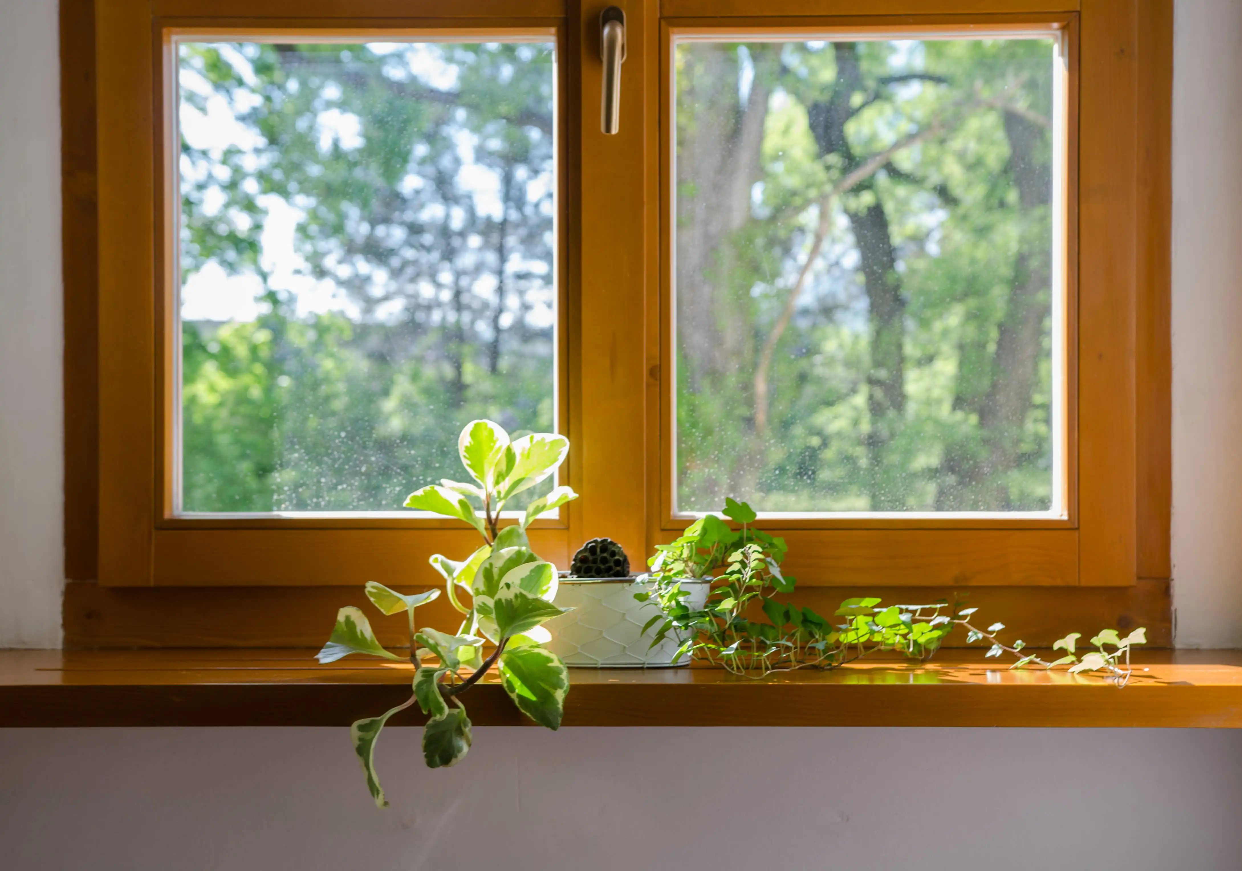 Window Design Ideas