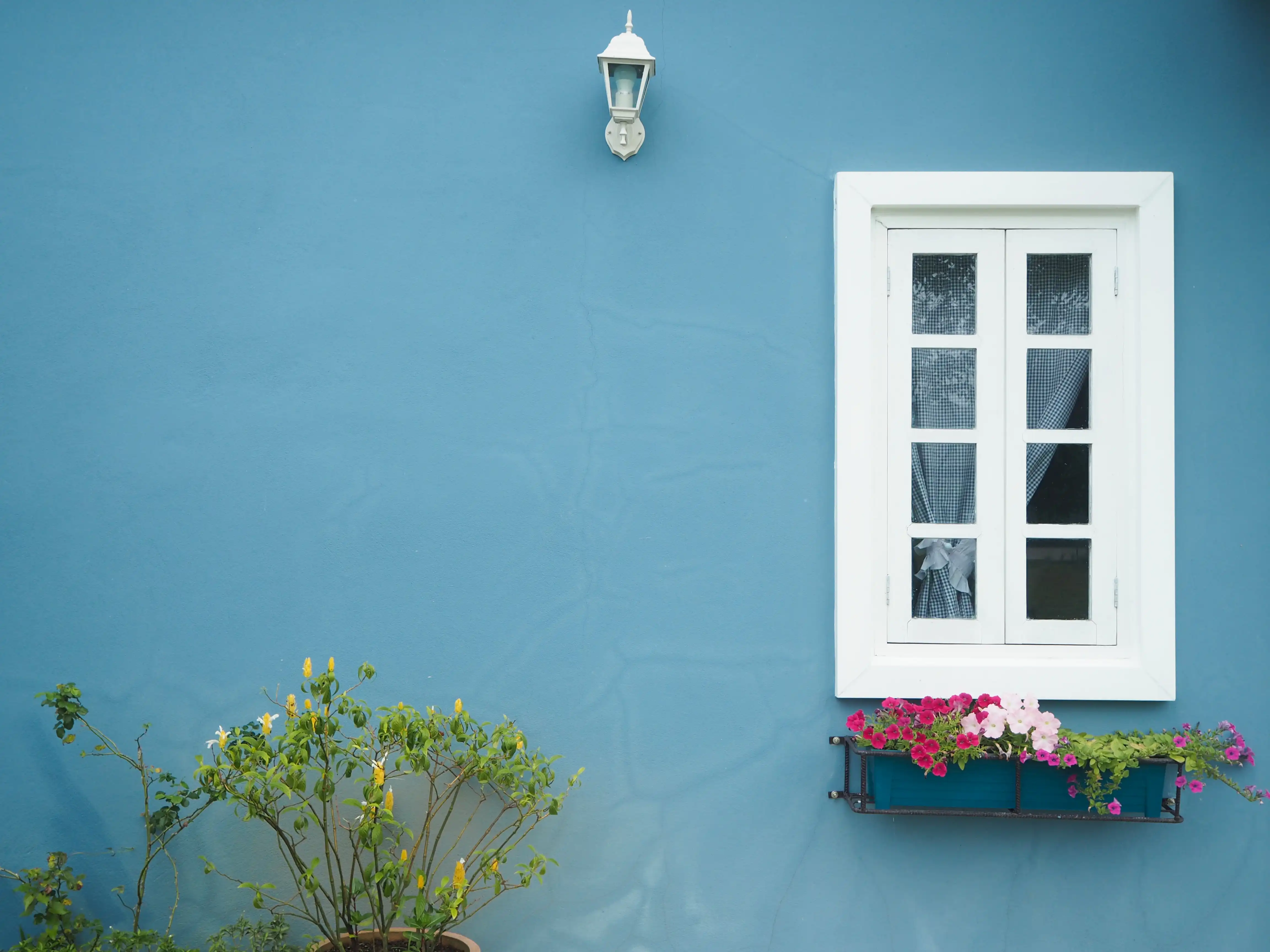 Window Design Ideas
