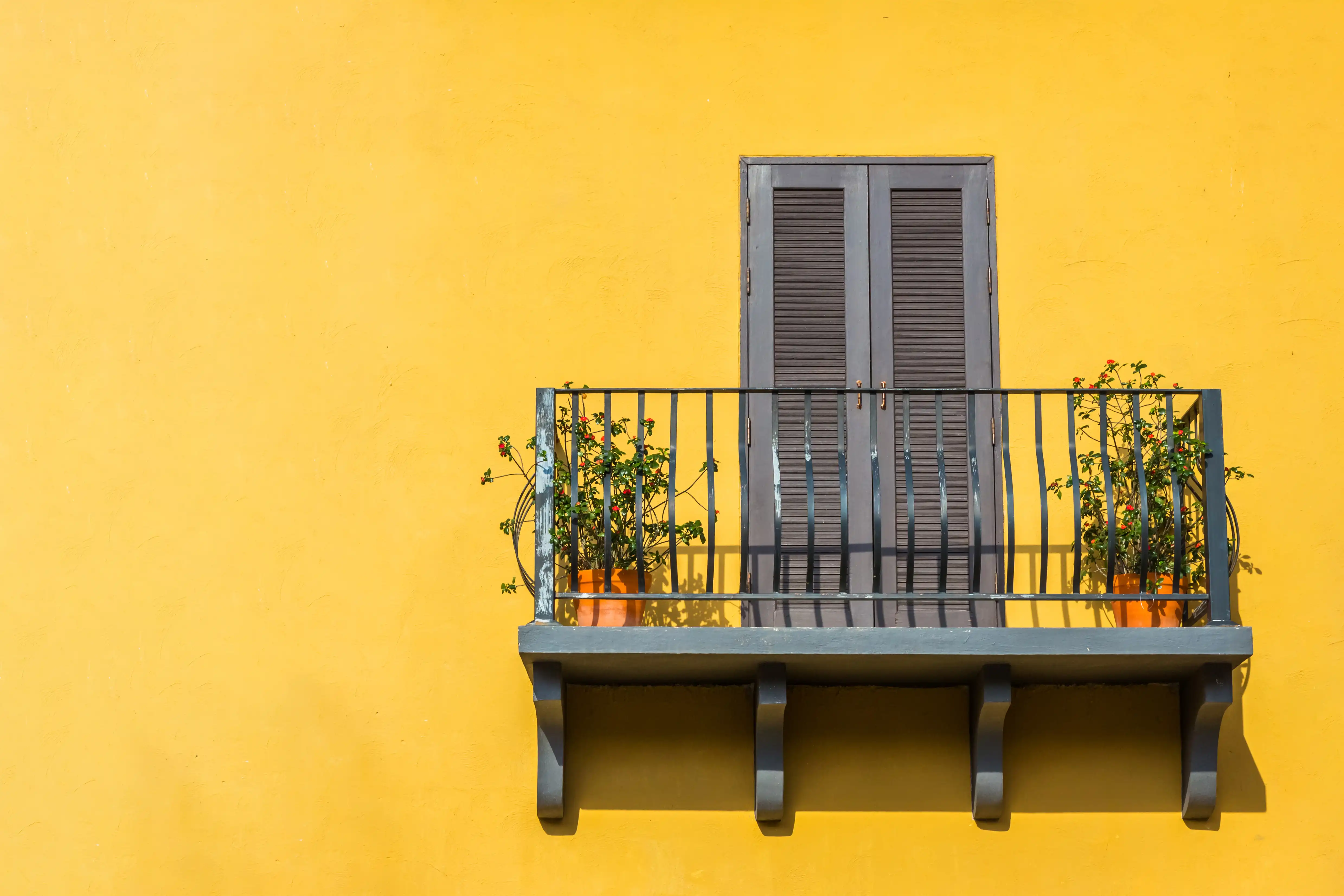 Window Design Ideas