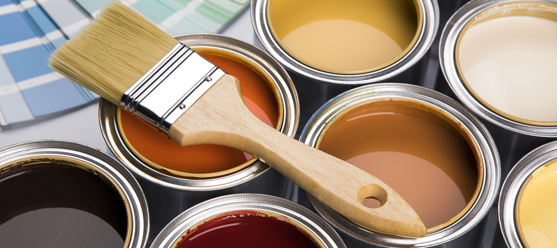 Distemper Paint vs Plastic Paint – Which Is Better for Your Walls?