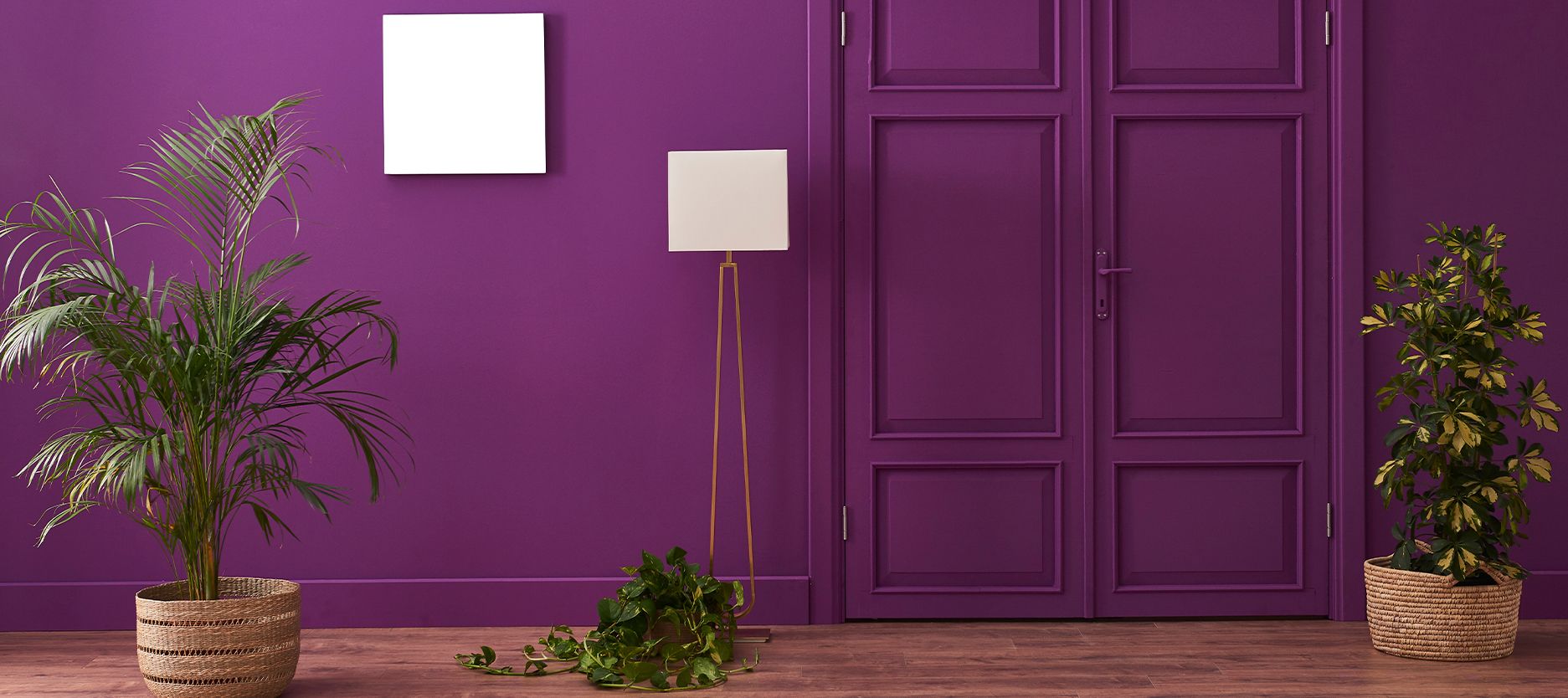 Playing Around with Purple Wall Colour in Your House