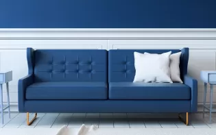 10 Peacock Blue Colour Combinations And Photos