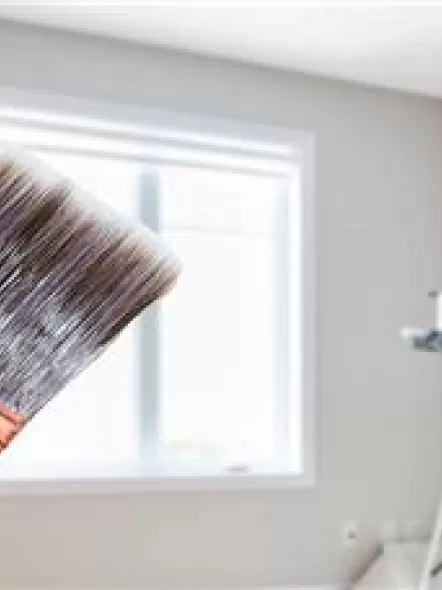 Nerolac Paints And Primer Price For 20 Liter 