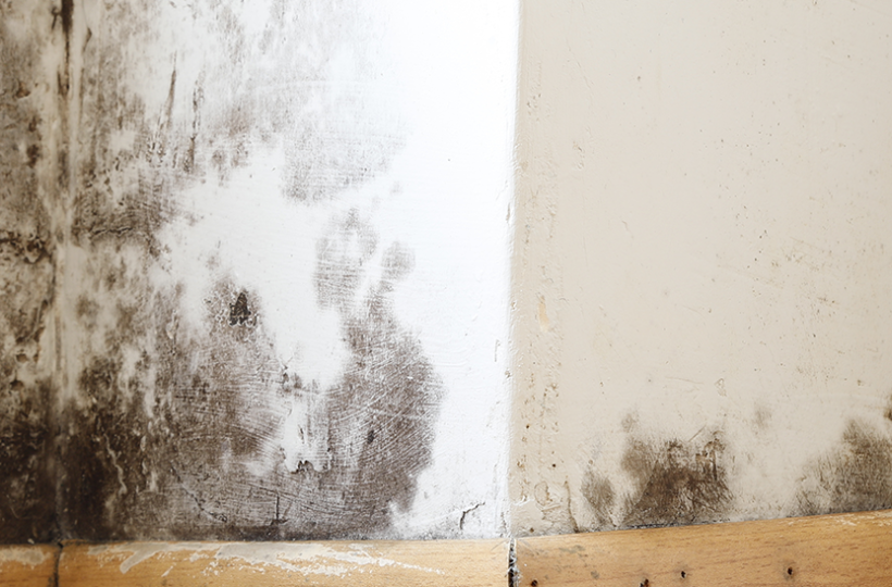 Wall Seepage: 10 Effective Tips and Tricks to Prevent It for Monsoons