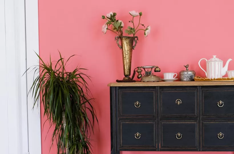 How to Make Pink Colour: Tips for Perfect Wall Paint Shades & Home Décor Ideas