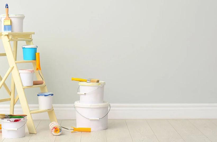 7 Features to Look Out for When Choosing Wall Paint