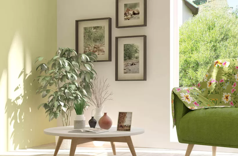 How to Make Green Colour: Tips for Perfect Wall Paint Shades & Home Décor Ideas