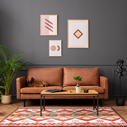 Red Ranch Trending Colours